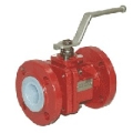 Richter BV Series Valves